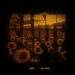 Sapte (feat. Alex Stefan)