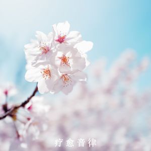 片刻的宁静与安详（轻音乐）