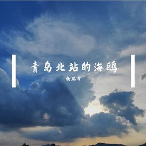 青岛北站的海鸥