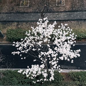 我