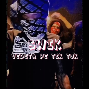 Vedeta Pe Tiktok