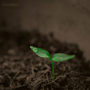 Genesis