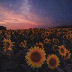 Sanskar (feat. Post Apocalyptic Society)