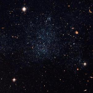 昙花一现雨及时