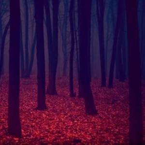 Level 57 - “白日美术馆”