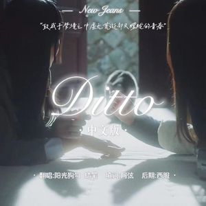 Ditto（中文填词）