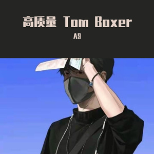 A9-《高质量 Tom Boxer》-A9（A9 remix）