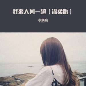 我来人间一趟 (温柔版)