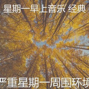 温和办公室梦想