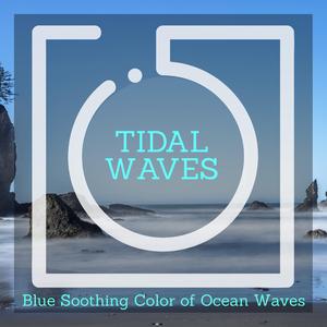 Soft Ocean and Birds Chirp Music