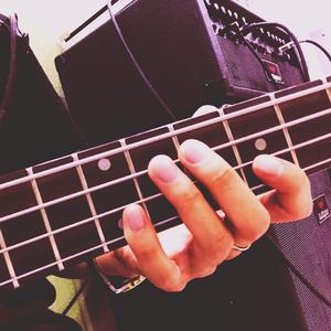 物种（翻自 沙宝亮）