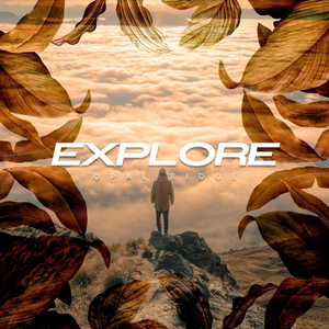 explore