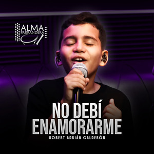 No Debí Enamorarme