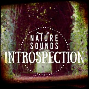 Birds at the Resevoir