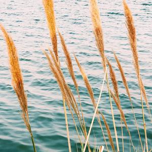 你（翻自 林依晨）