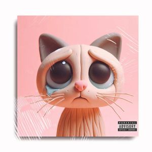 【FREE BEAT】 “哭泣猫猫头” NEW JAZZ x PLUGGNB
