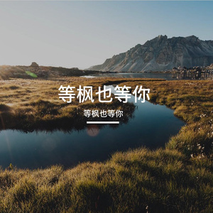 等枫也等你 伴奏