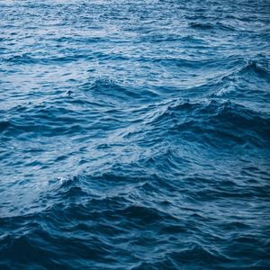 阿拉斯加没有海湾