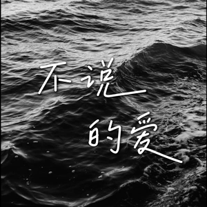 不说的爱