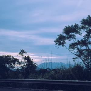 温柔的眼光 (八音盒)