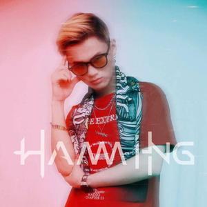 群星-凤凰传奇- 最炫民族风（Hamming remix）