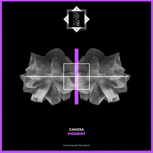 Pigment (Original Mix)