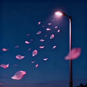 星夜温柔说