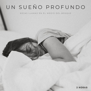 Un Sueño Profundo: Rojas Llamas En El Medio Del Bosque - 2 Horas