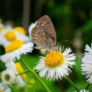 锈（翻自 h3R3）