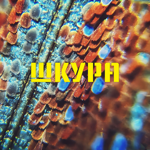Моё нутро