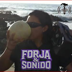 02.Bienvenido a la Playa.- LA MÉTRICA DEL SONIDO