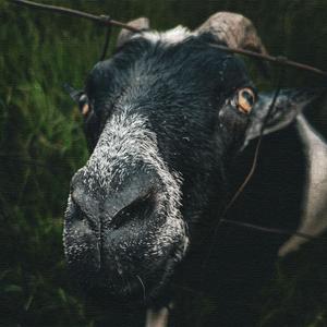 Competing (Computing)