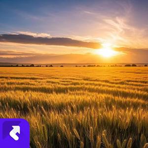 回忆诗篇中的青春笑颜 (Demo)