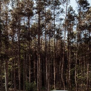 妖精的脚步~沿海滩行走~