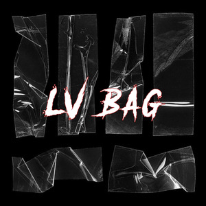 LV Bag