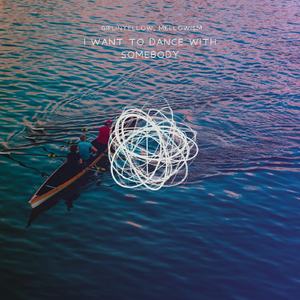 I Want To Dance With Somebody (sereney Remix)