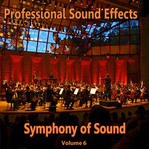 Symphony of Sound Professional Sound Effects 3119