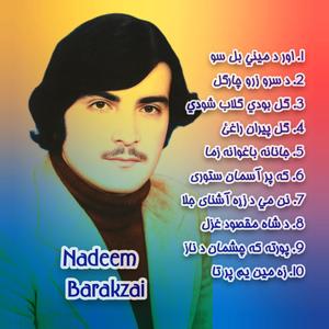 Ka Par Asman Satorai Rawakhot Kazhy Wazhy Warazi De Zayb Kawe