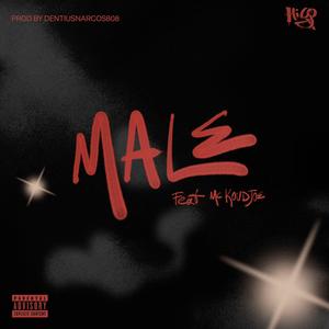 Male (feat. Mc Koudjoe & DentiusNarcos808)