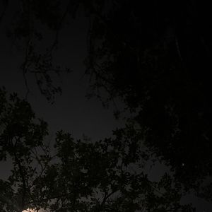 回声溺亡的山谷