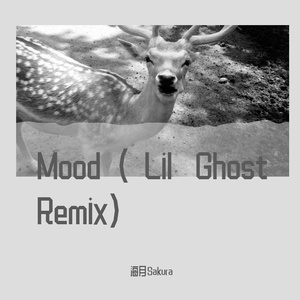 Mood（Lil Ghost Remix)