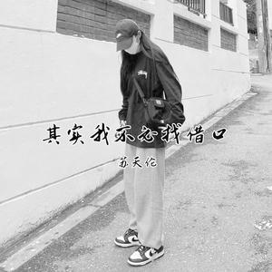 其实我不必找借口 (DJ版)