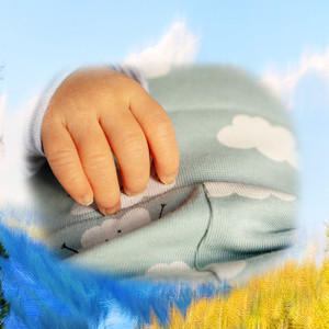 신생아의 꿈나라 (오르골 자장가)