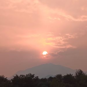 希望能做朋友demo