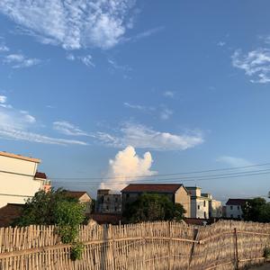 书里总爱写到喜出望外的傍晚（Demo）