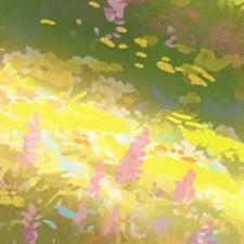 王菲-红豆（可爱的麻瓜 remix）