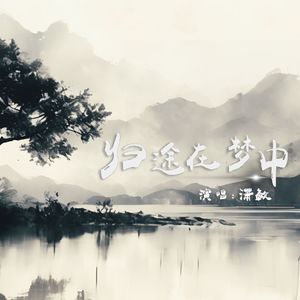 归途在梦中