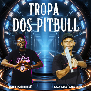 Tropa dos Pitbull