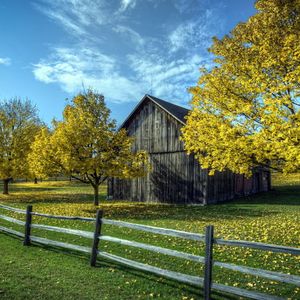 木鲁鲁捕鱼日记