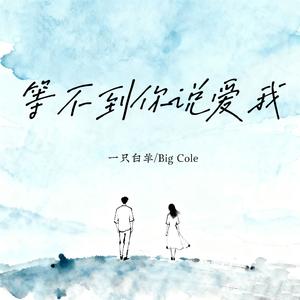 等不到你说爱我